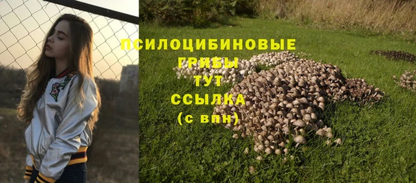 соль курить ск Пересвет