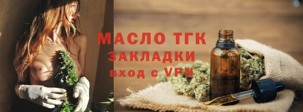 гашик Пестово