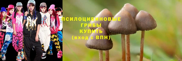 гашик Пестово