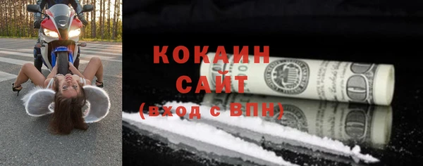 гашик Пестово