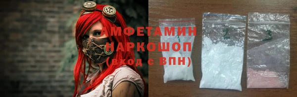 гашик Пестово