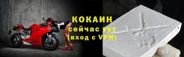 ПСИЛОЦИБИНОВЫЕ ГРИБЫ Видное