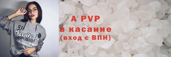 гашик Пестово