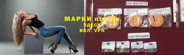 гашик Пестово