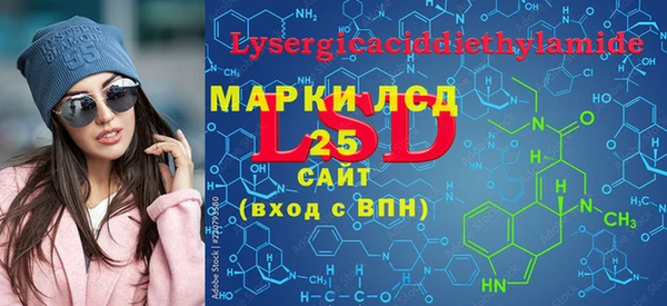 гашик Пестово