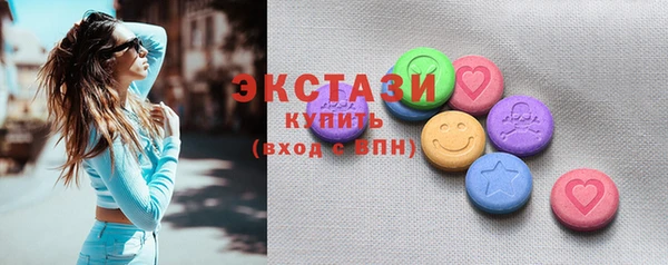 гашик Пестово