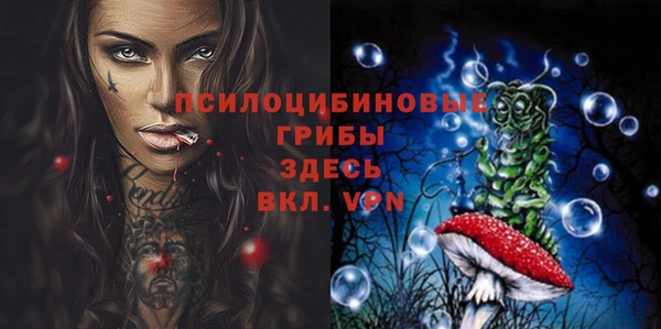 соль курить ск Пересвет