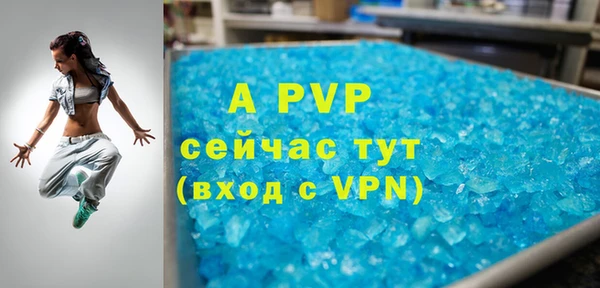 гашик Пестово