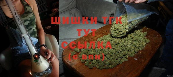 ПСИЛОЦИБИНОВЫЕ ГРИБЫ Видное