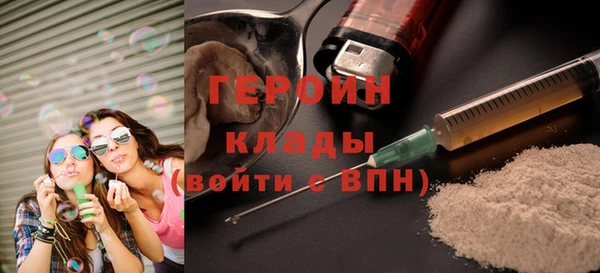 гашик Пестово
