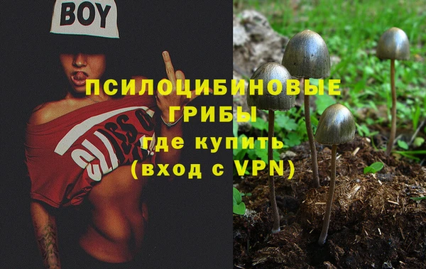 бутират Весьегонск