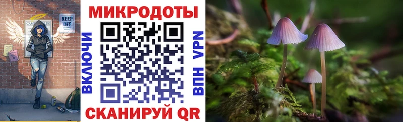 shop официальный сайт  где можно купить   Туймазы  Галлюциногенные грибы мицелий 