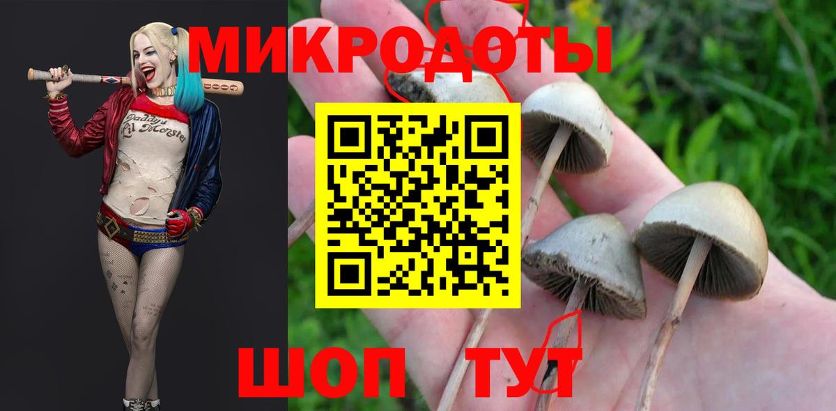 Туймазы  Галлюциногенные грибы мухоморы  Псилоцибиновые грибы ЛСД  Вход с VPN 